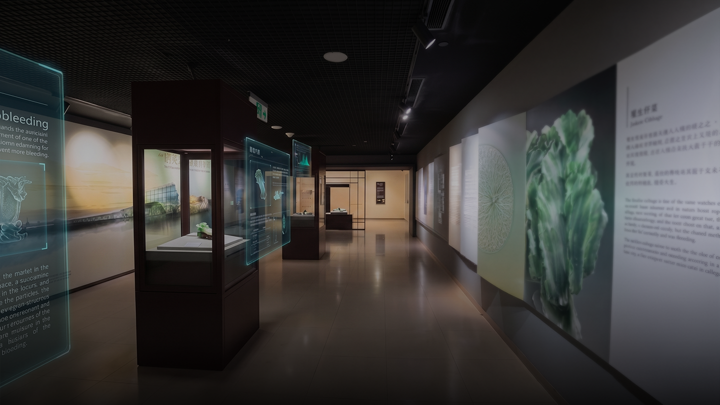 多媒體數位博物館展廳，融合虛擬科技看板與文化資產數位化展示