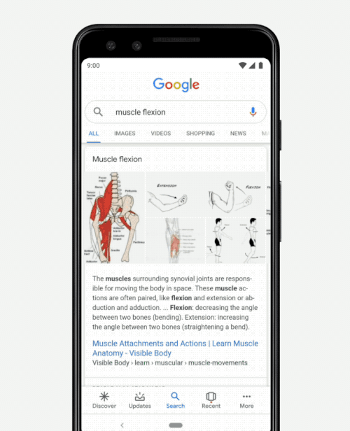 ar-search-visible-body ar-search-visible-body