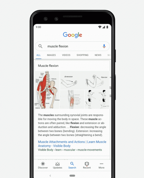 ar-search-visible-body ar-search-visible-body