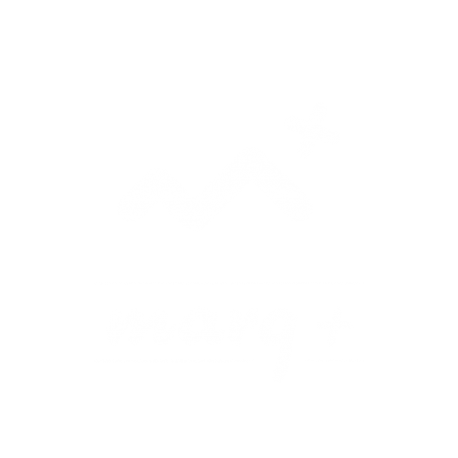 marq+ new logo